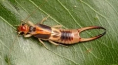 Підплив: яка небезпека і методи боротьби